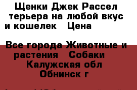 Щенки Джек Рассел терьера на любой вкус и кошелек › Цена ­ 13 000 - Все города Животные и растения » Собаки   . Калужская обл.,Обнинск г.